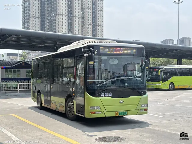 800BUS