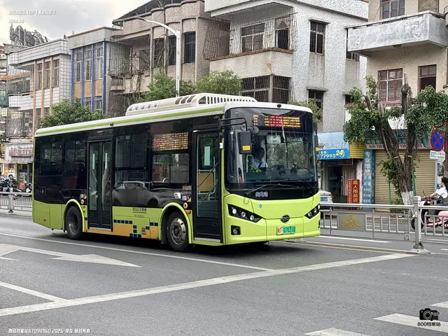 800BUS