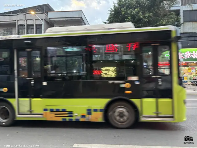 800BUS