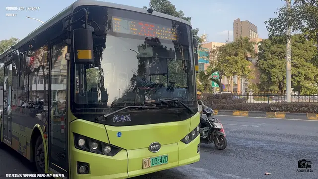 800BUS