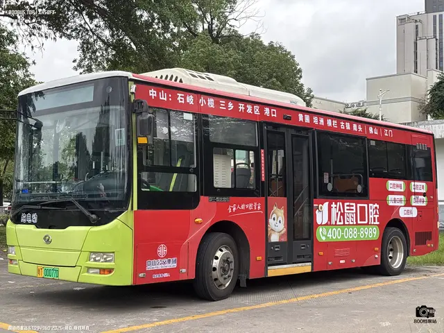 800BUS