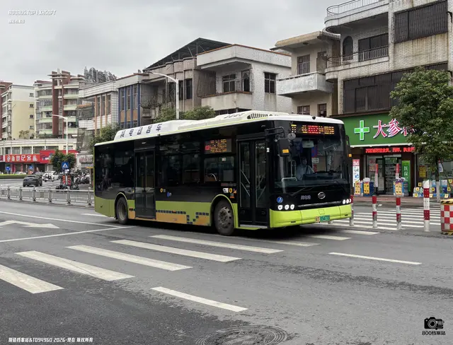 800BUS