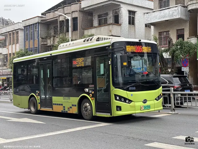 800BUS