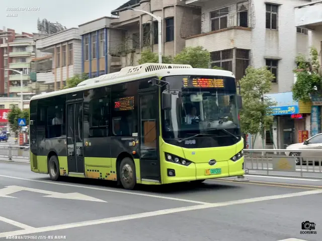 800BUS