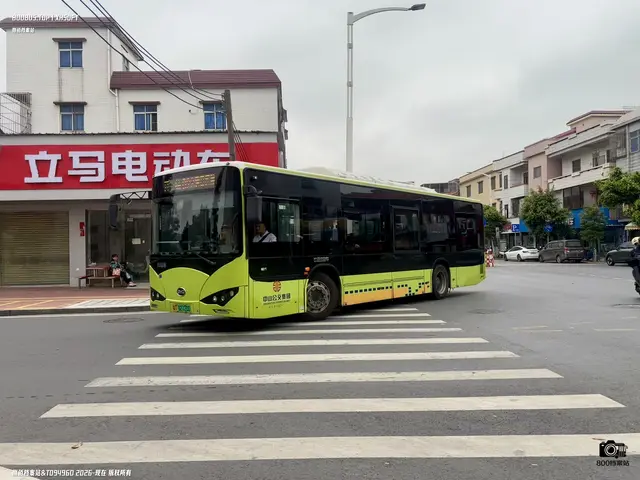 800BUS