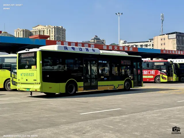 800BUS