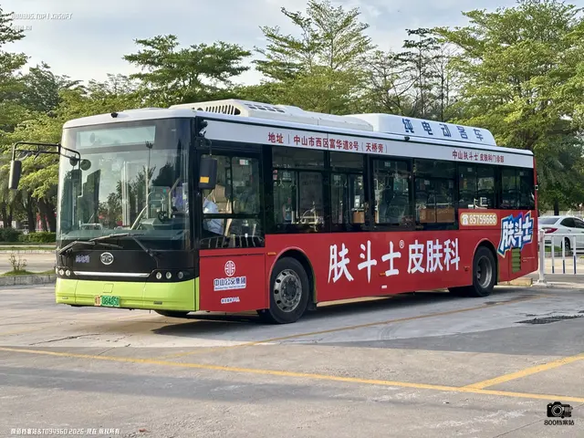 800BUS