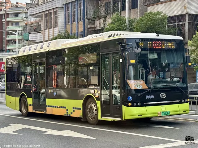 800BUS