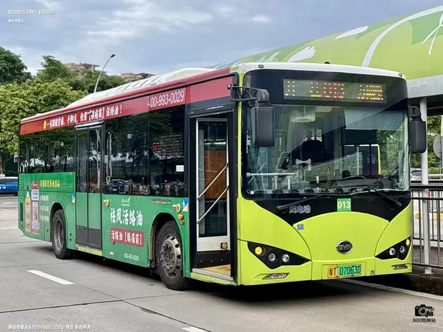 800BUS