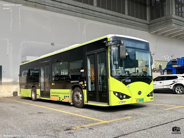 800BUS
