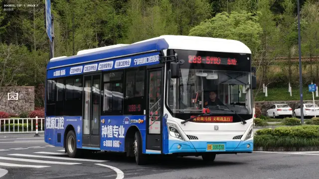 800BUS
