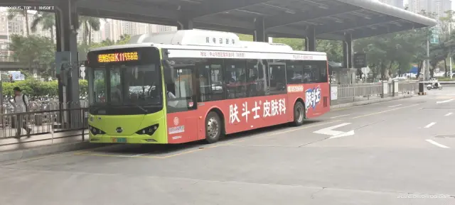 粤T06636D