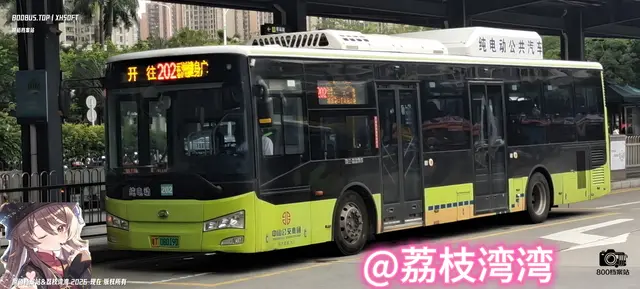 800BUS