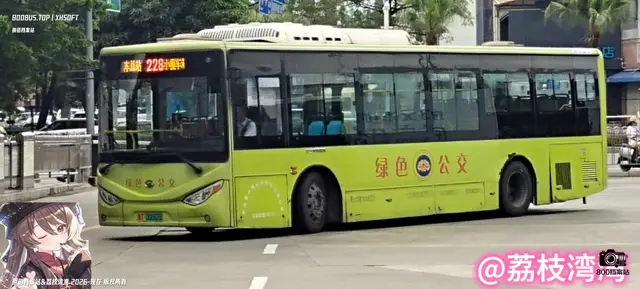 800BUS