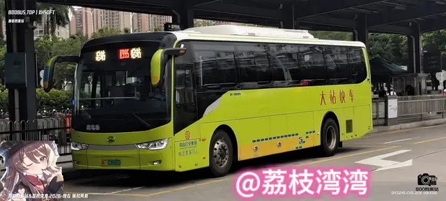 800BUS