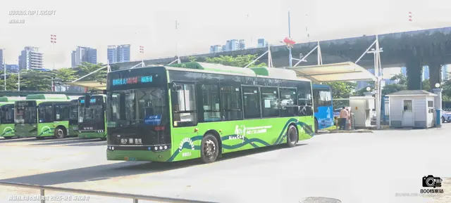 800BUS