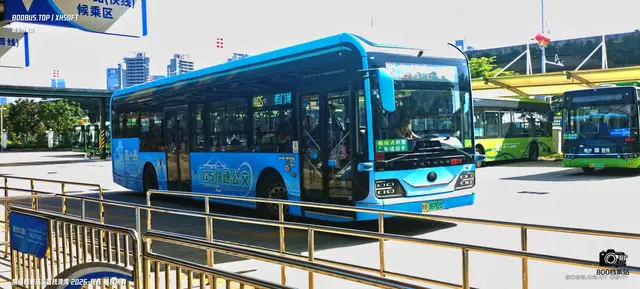 800BUS