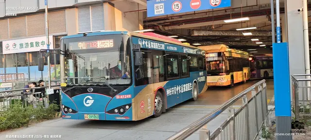 800BUS