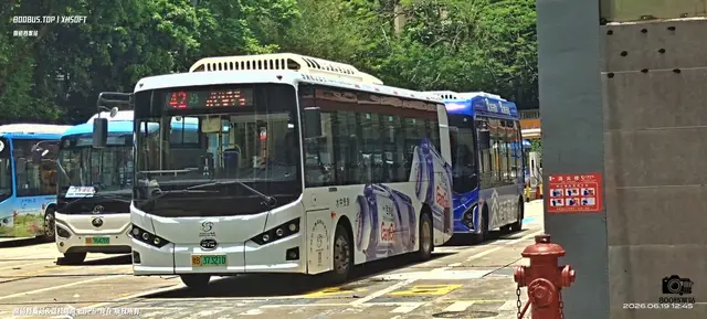 800BUS