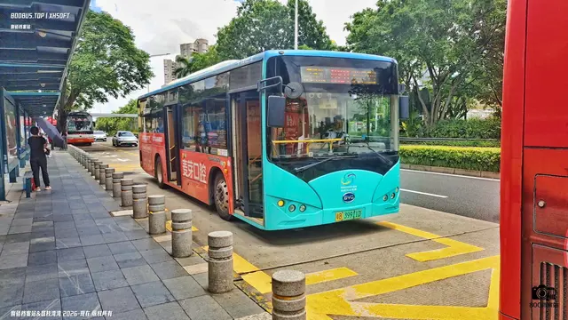 800BUS