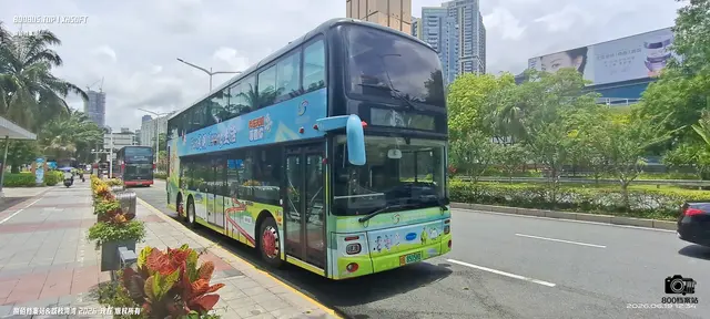 800BUS