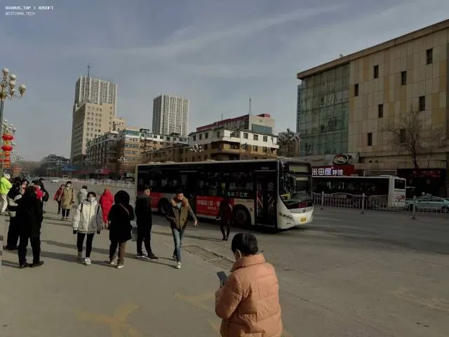 800BUS