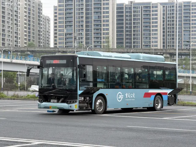 800BUS