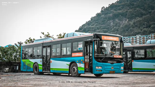 800BUS