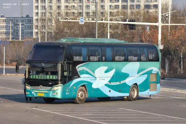 800BUS