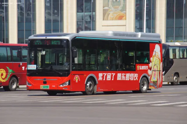 800BUS
