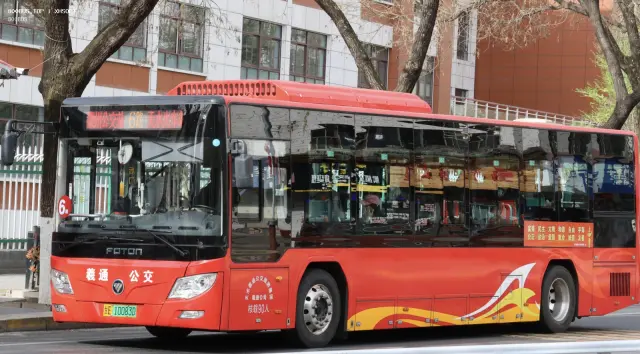 800BUS
