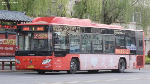 800BUS