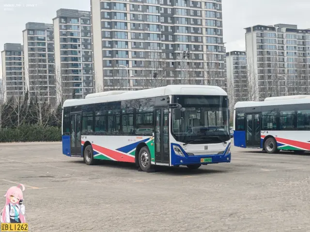 800BUS