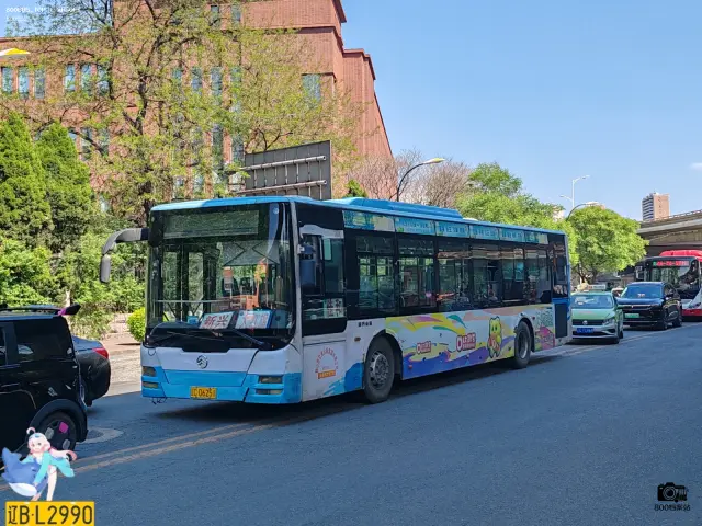 辽C D6251