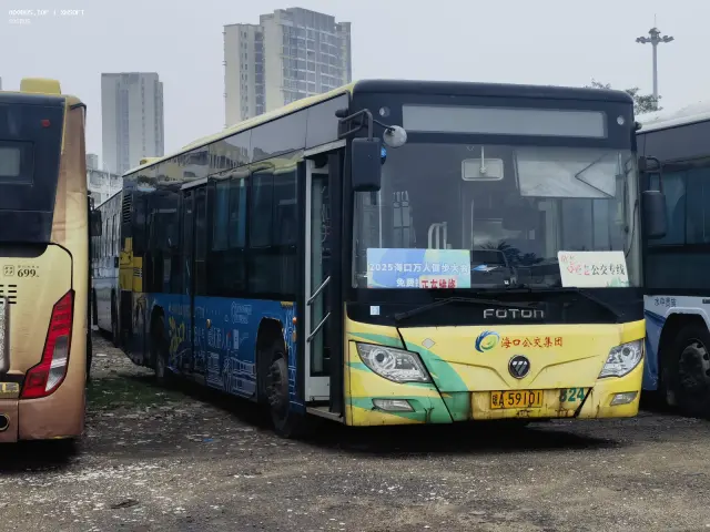 800BUS