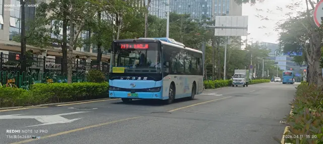 800BUS