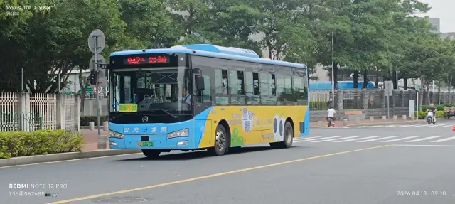800BUS