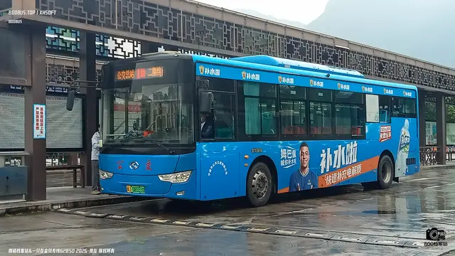800BUS
