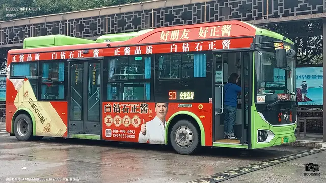 800BUS