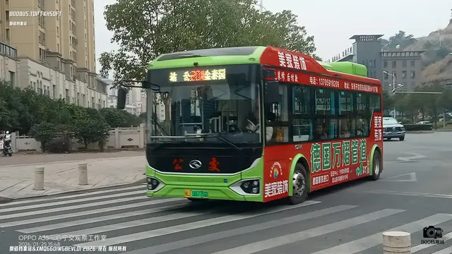 800BUS