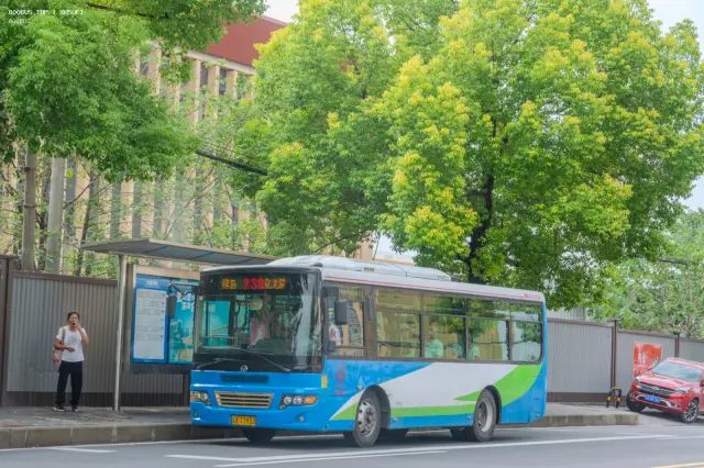渝A 77933