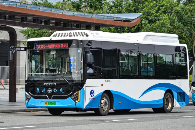 800BUS