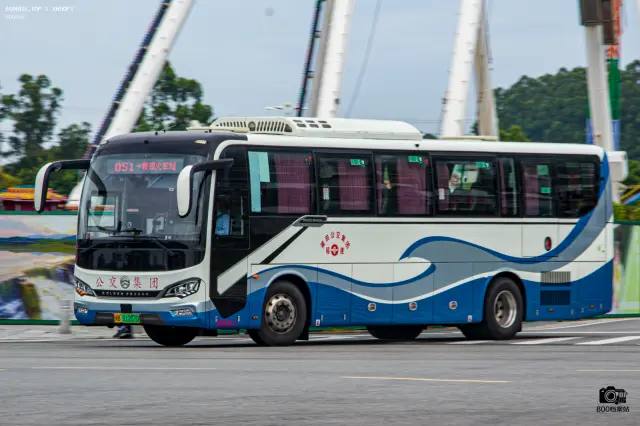 800BUS