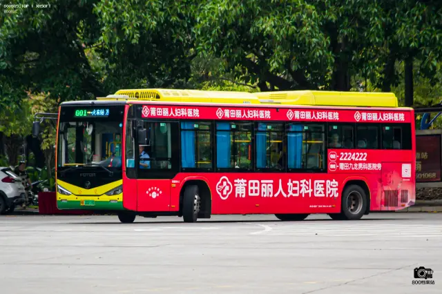 800BUS