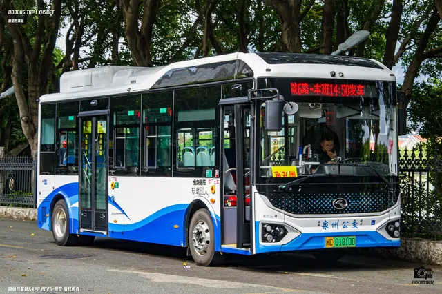 800BUS