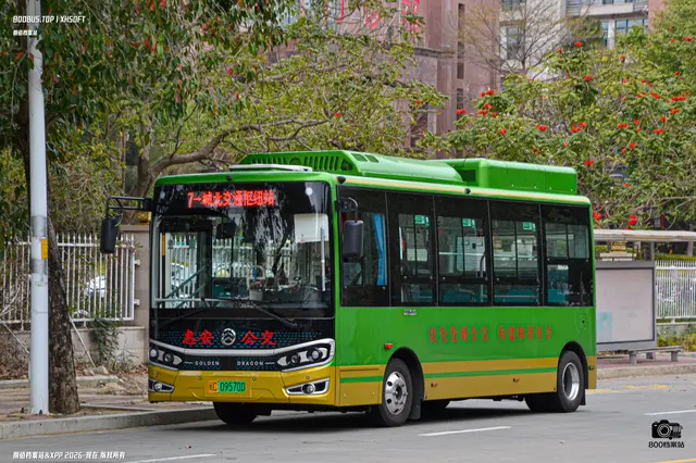 800BUS