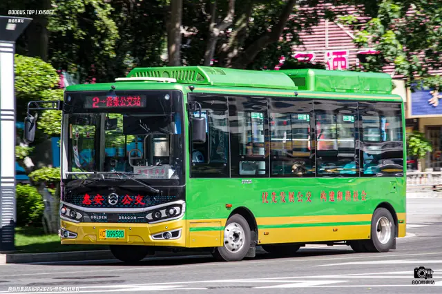 800BUS
