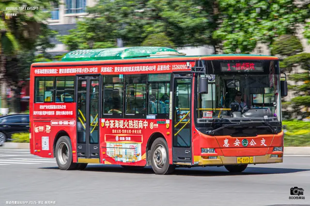 800BUS