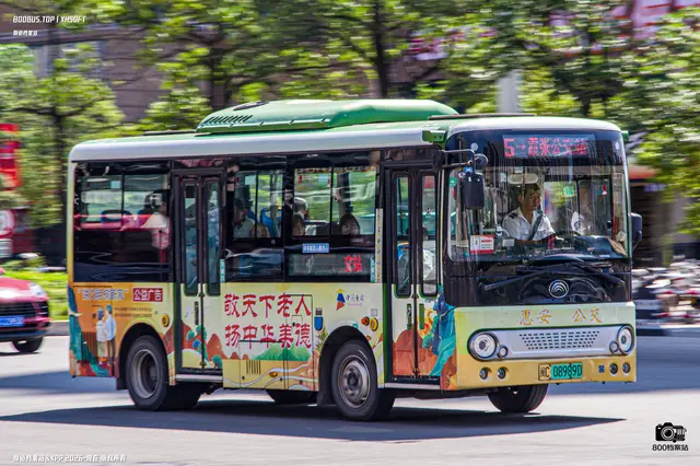 800BUS