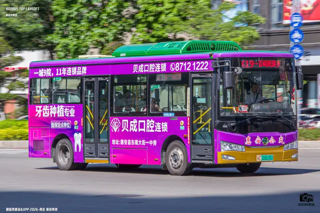 800BUS